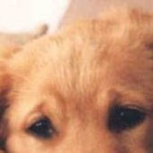 Meet your Posher, Beverly